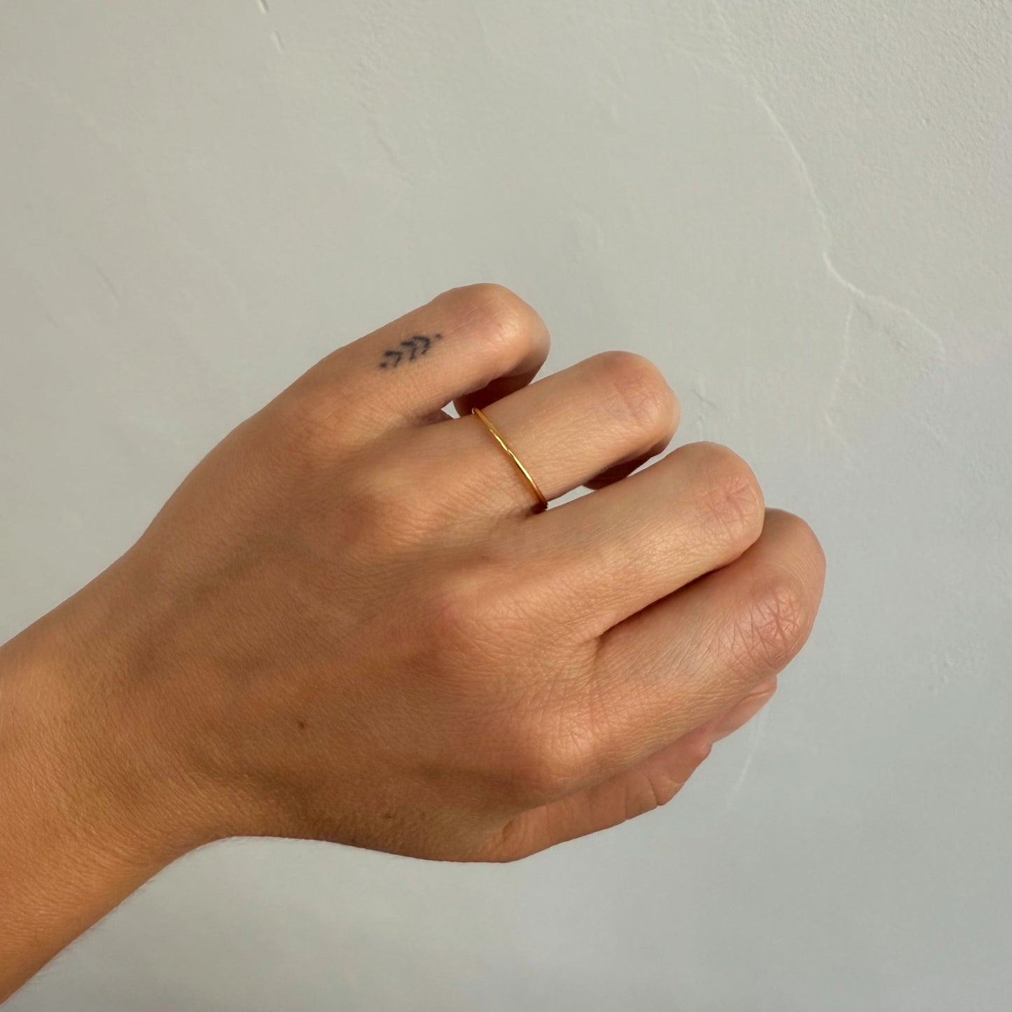N 17. 21 / 21 ring