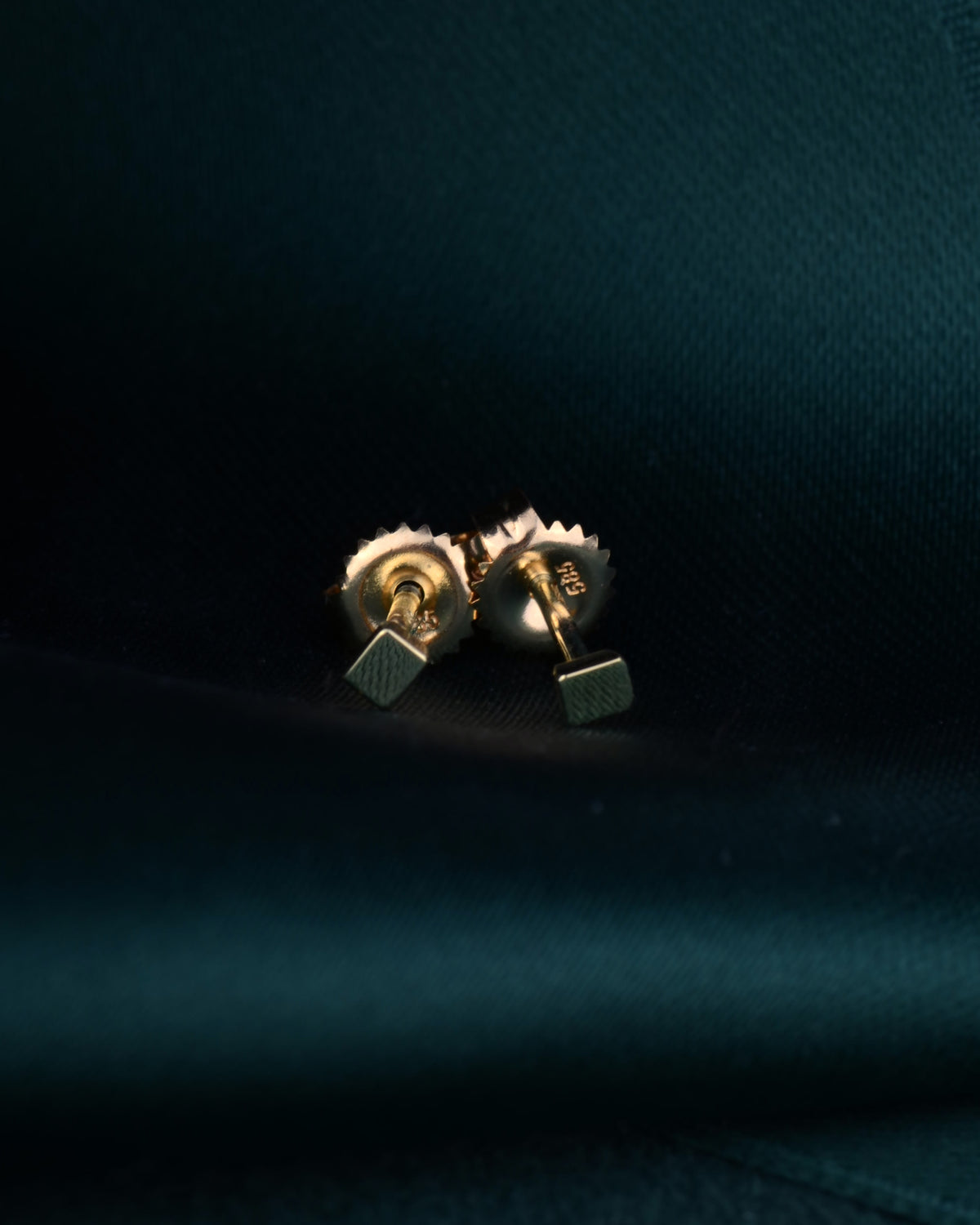 De Rachel Carson oorbellen 14k