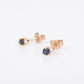 Earrings 14k sparkle indigo