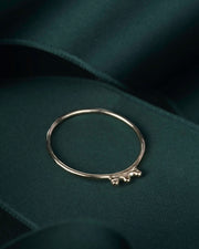 De Jane ring 14k