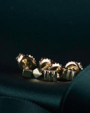 De Rachel Carson oorbellen 14k