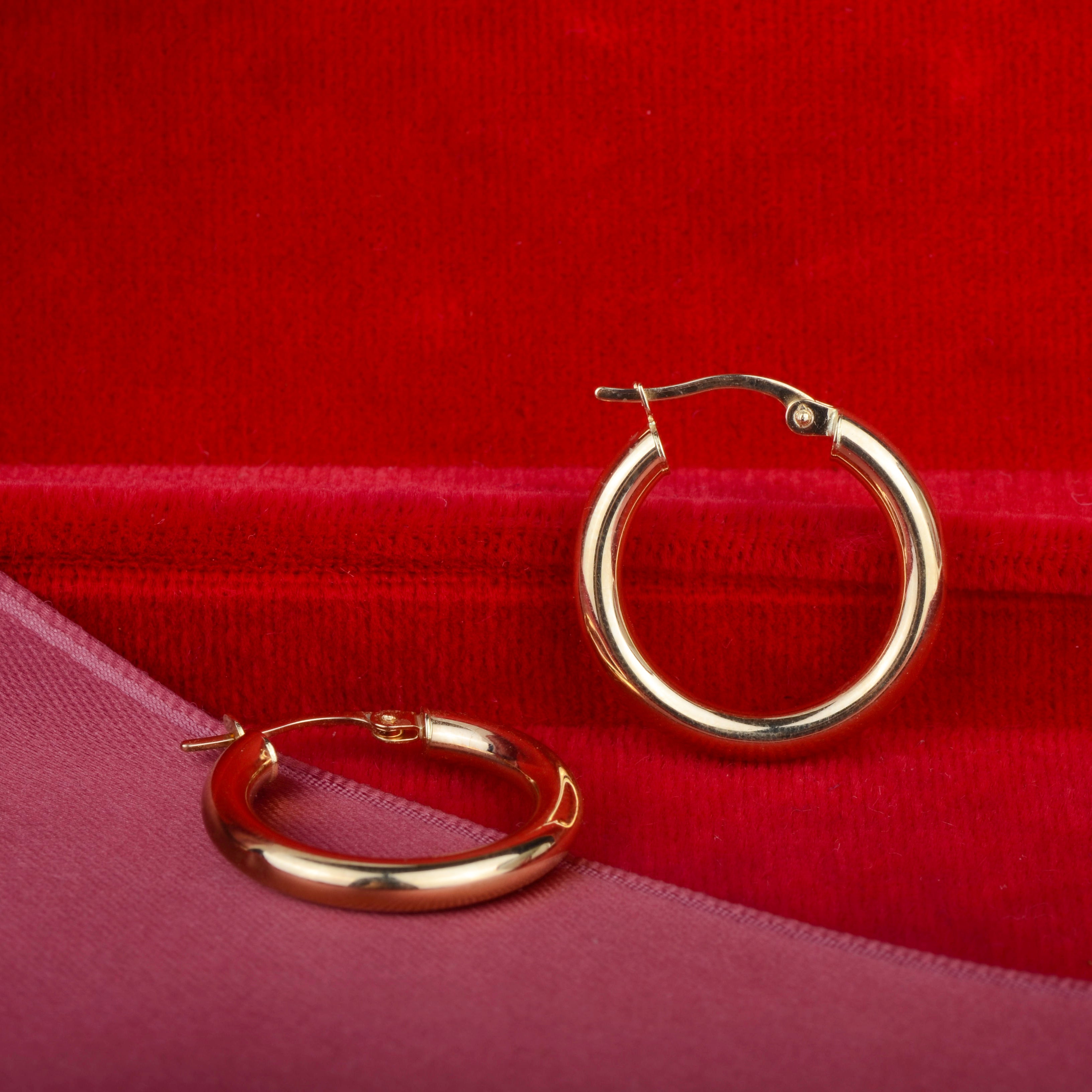 Earrings 14k notre dame