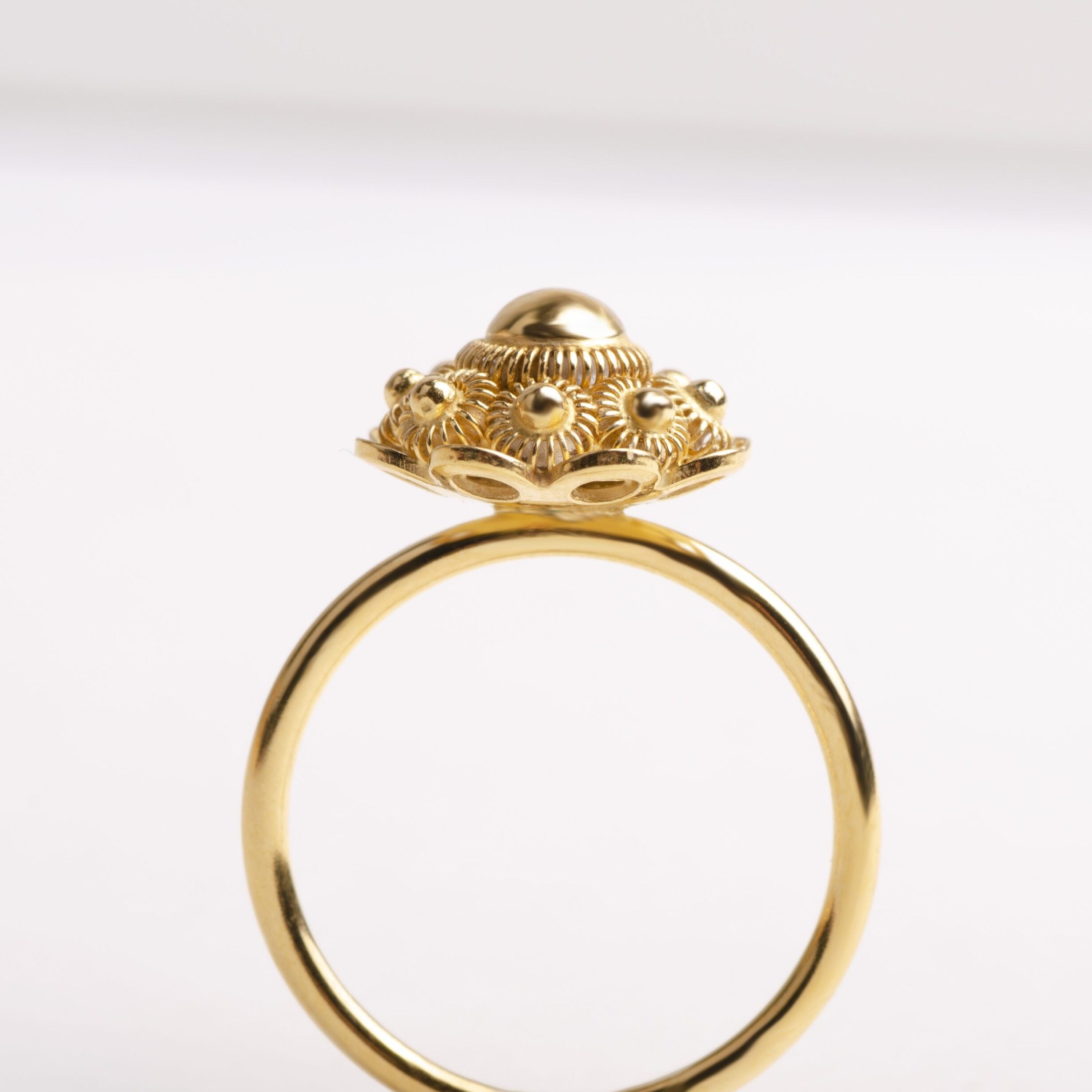 Ring zeeuws